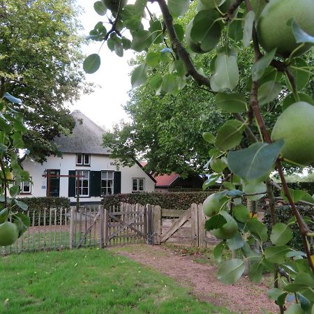 B&B De Willemshoeve Wageningen Kültér fotó